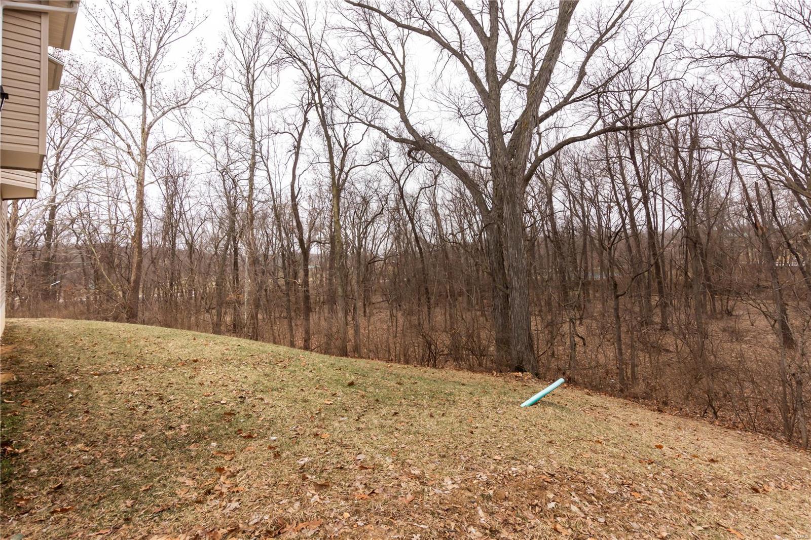 Bluffs at Dames Park - Residential