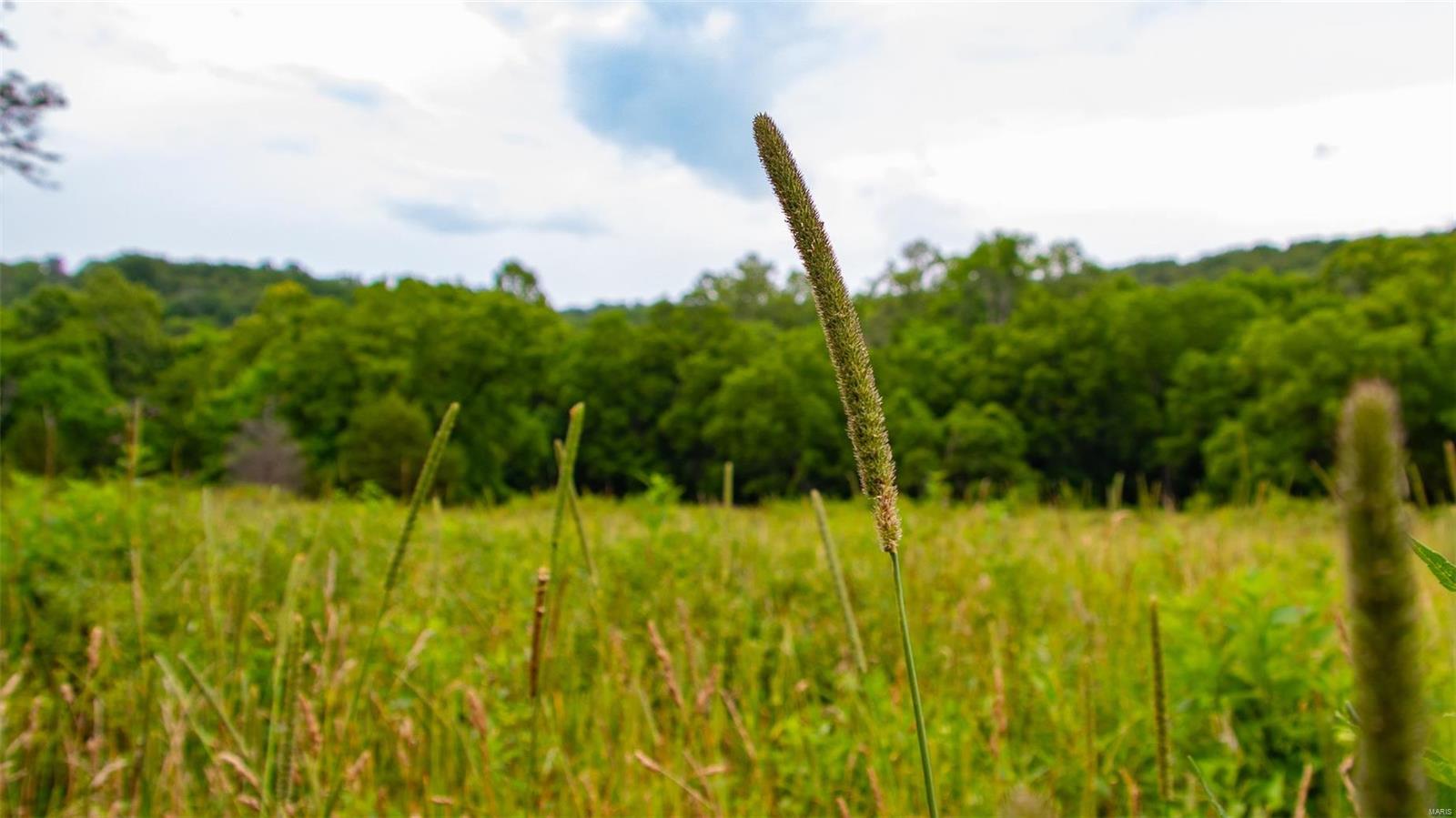 NA - Farm