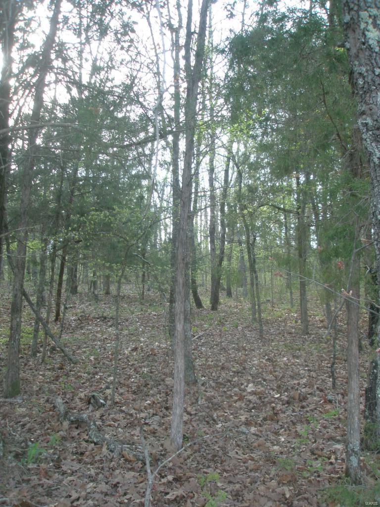 Buzzard Rock Lake - Land