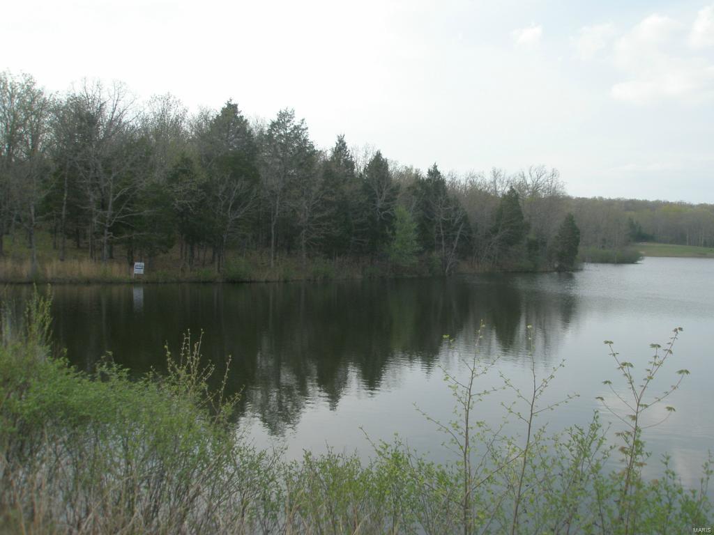 5 ACRE LOT on a 37 ACRE LAKE that FRONTS on the WATERS EDGE on BUZZARD ROCK LAKE, JUST WAITING FOR YOU TO DISCOVER IT AND FALL IN LOVE WITH IT'S BEAUTY. YOU HAVE IT ALL, LIVING AT THE WATERS EDGE, FISHING, BOATING, SWIMMING AND WILD LIFE, JUST A FEW MILES OUT OF TOWN IN A GATED UPSCALE COMMUNITY. MOSTLY WOODED WITH A BEAUTIFUL HOME SITE.