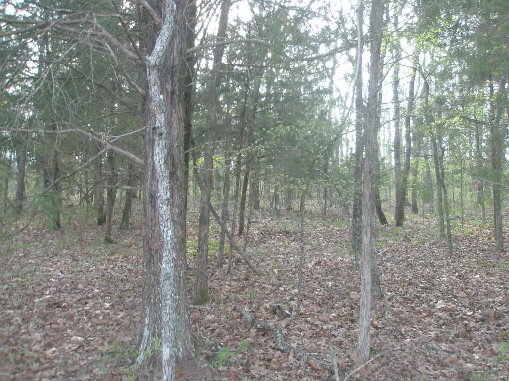 Buzzard Rock Lake - Land