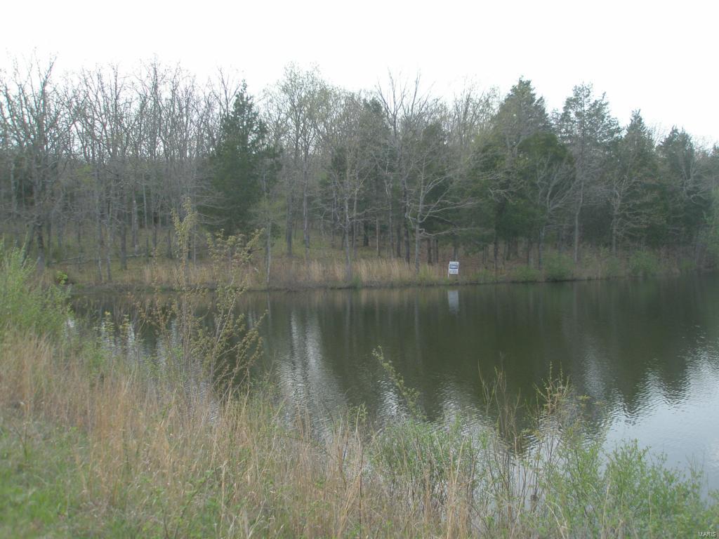 Buzzard Rock Lake - Land