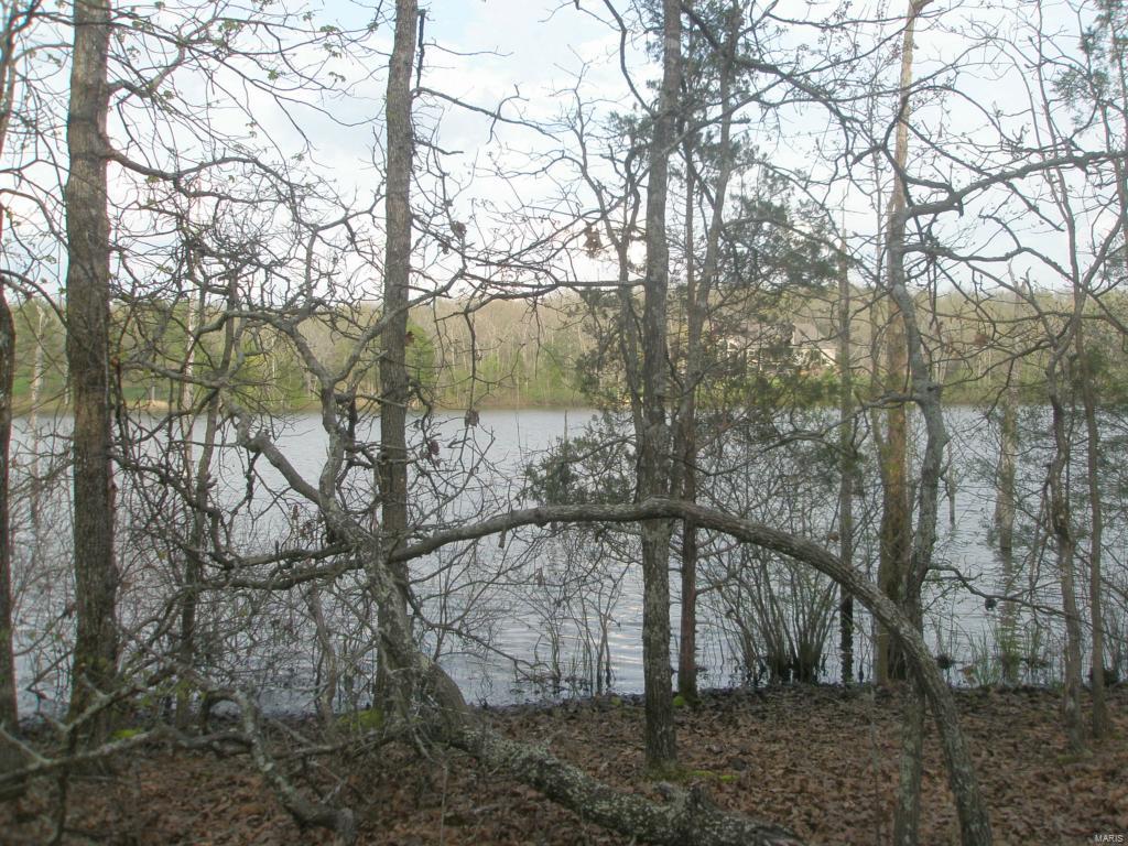Buzzard Rock Lake - Land
