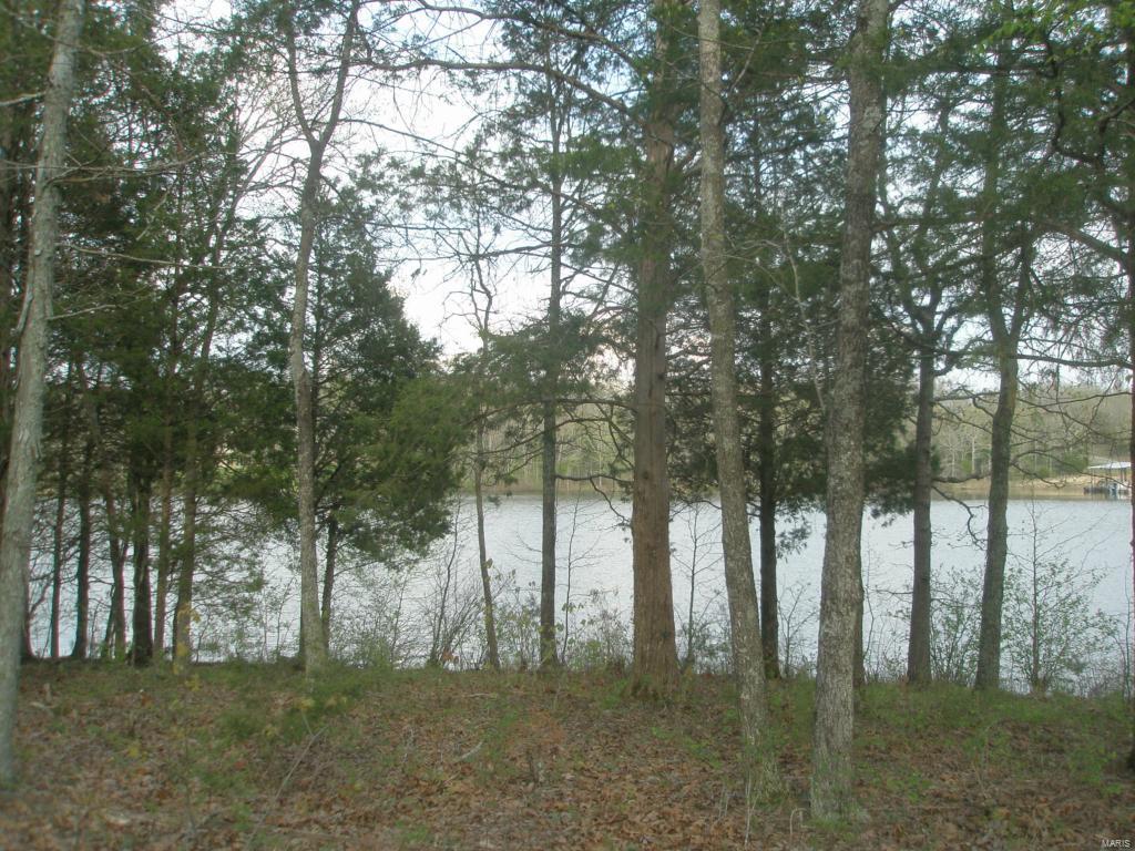 Buzzard Rock Lake - Land