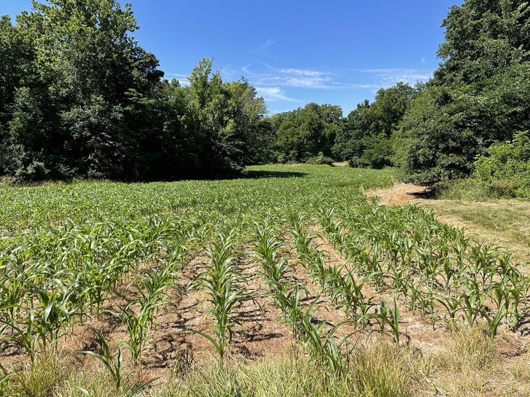 N/A - Farm