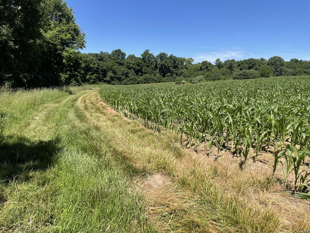 N/A - Farm