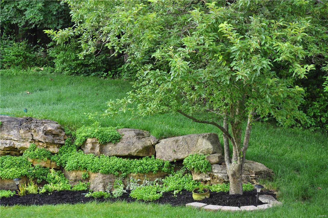 Forests Of Hilltop Village - Residential