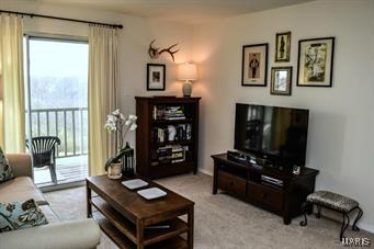 This condo is ready to move right in. Brand new carpet in living room & bedrooms. The eat in kitchen has a nice size pantry, tile floor, and plenty of counter space. Sliding doors to the balcony make the space light and bright with a great view of the woods from your private balcony.  Washer & dryer are located in the condo along with your own storage area. Many updates have been done to this unit including  a brand new furnace. Covered parking is provided, the complex includes pool & clubhouse.  Convenient Ballwin location it is just minutes to 141, highways and shopping. Monthly fee includes water, sewer, trash, ground & exterior maintenance. Why rent? When you could own this condo it is FHA approved. Location: End Unit, Upper Level