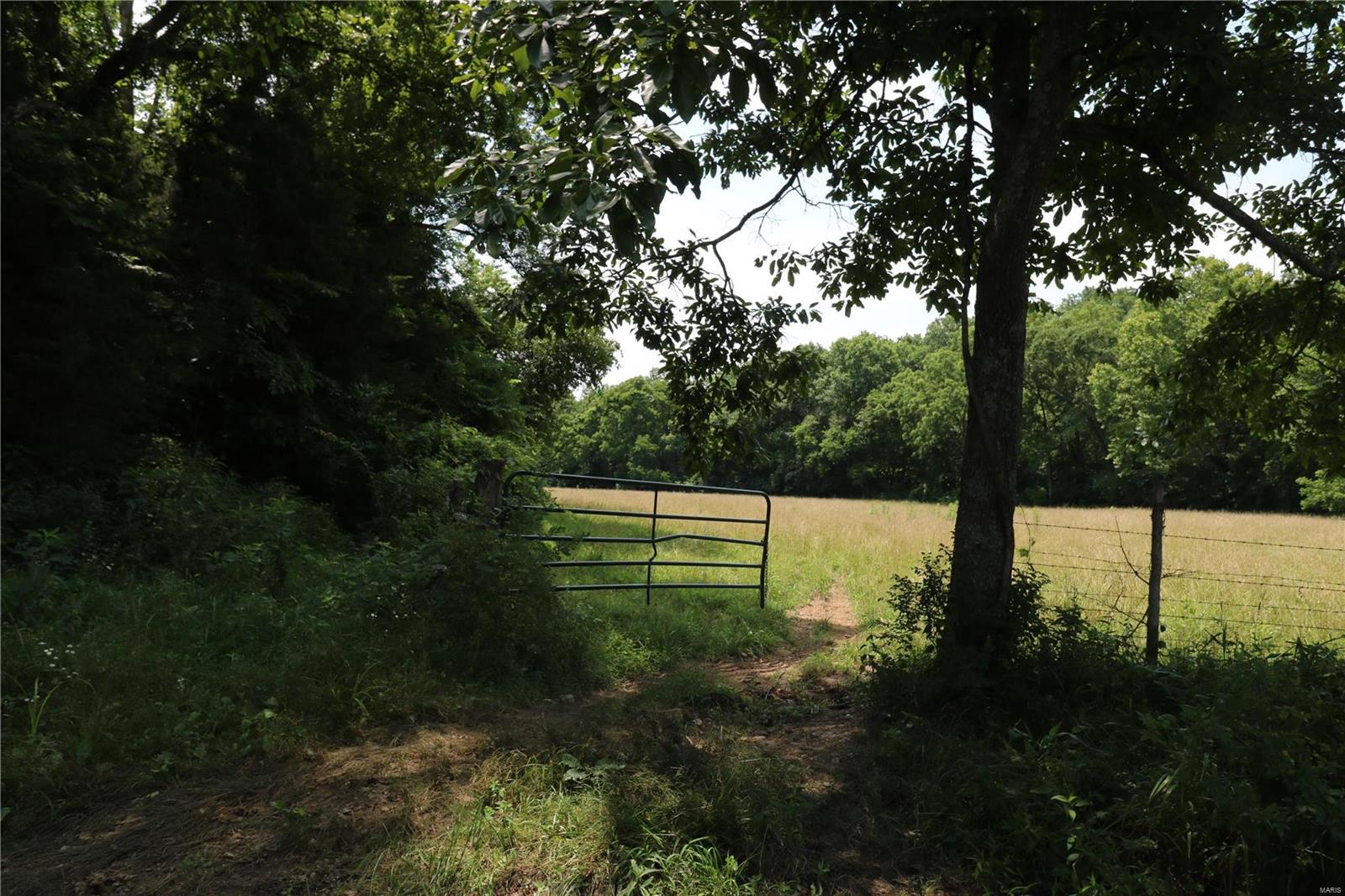 None - Farm