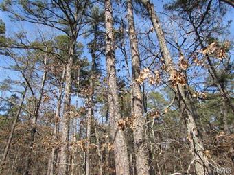 60 acres of clear cut land. All timber will be removed.