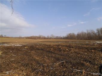 467 ACRES M/L at edge of Troy.  Cuivre River runs through this property.  Property mostly river bottom with wooded acreage and some hill ground.  This parcel has great hunting, fishing and recreation for the entire family, and lays at the edge of Troy.  Seldom does this type of opportunity become available!  Property is being sold in one tract.