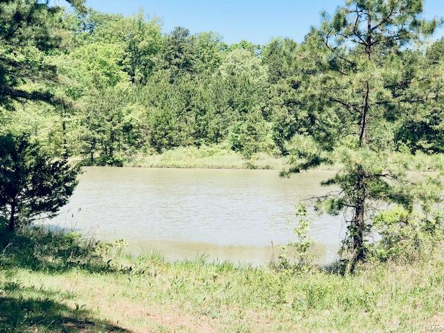 80 acres of wooded property just waiting for you.  Property is located off Highway 34 roughly 5 miles outside Marble Hill, has 1/4 mile highway frontage and offers endless possibilities.  There is a 2.5 acre fully stocked lake. ATV trails throughout property and marketable timber.  Call today to schedule your tour.