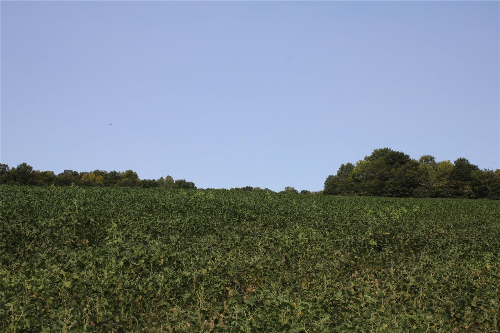 N/A - Farm