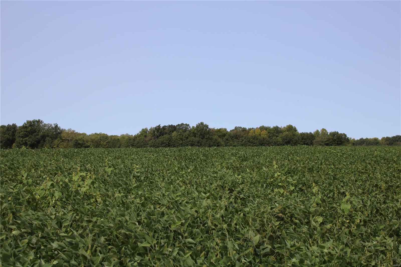 140 M/L acre combo farm located in Monroe County, just outside of Paris, MO! This farm offers a little bit of everything between some row crop ground, CRP ground, Pasture ground, woods and a creek! The new owner will have full rights to the property as of Jan 1st 2025. Currently the 41+/- acres of tillable land is being leased at $165.00 an acre for the 2024 year. CRP program is about 27.2+/- acres paying $127.00 an acre. And the pasture ground is rented for $3500.00 for the 2024 year. There is an older home on the property that would make for a great weekend place or a hunting cabin to come up and stay to enjoy the land and to enjoy the Mark Twain Lake that is near by. The home has a newer roof and siding, but the home still needs some TLC. Home is being sold as-is where is seller will not make any repairs. A great opportunity for a buyer looking for a recreational tract with some income coming in off it and close to the Mark Twain Lake!