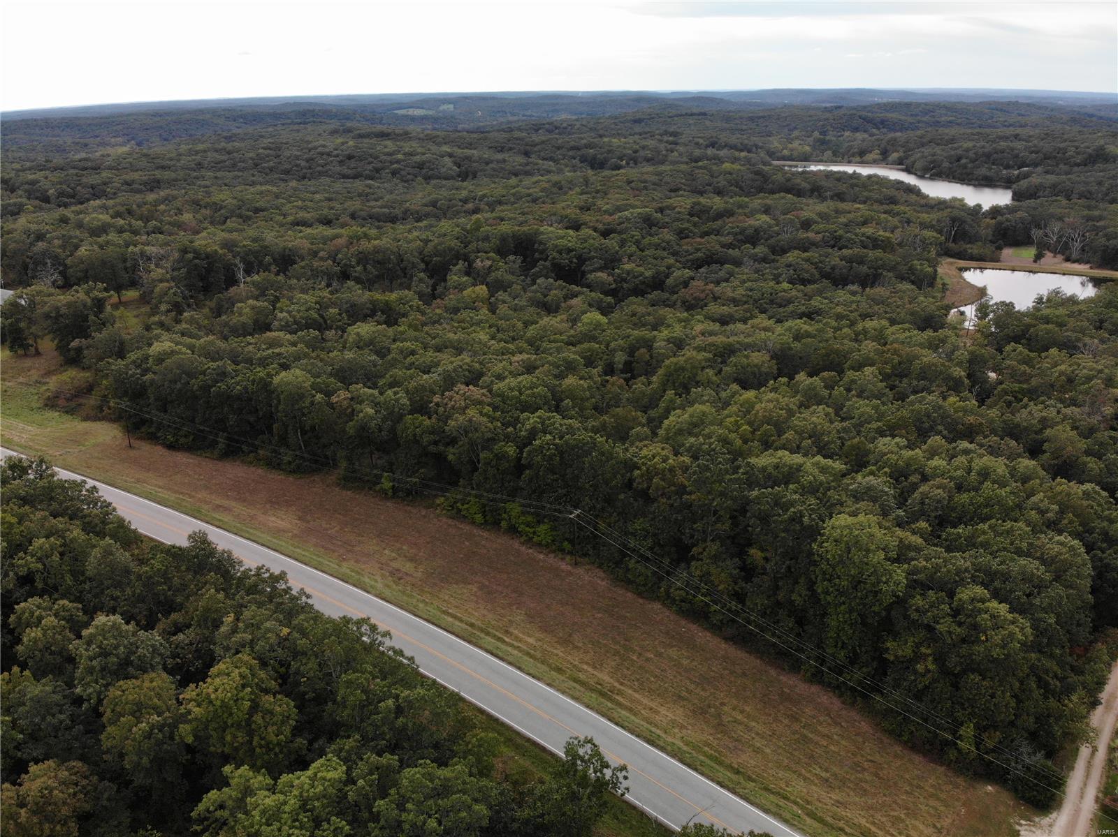 15.5 surveyed acres +/- with Highway 19 frontage! Just one mile south of Swiss. Great for building a home, hunting, riding ATVs, or just getting away from it all. Mostly wooded with some land cleared along highway. This land is vacant but has been surveyed, see attached map in the pictures. Property corners are marked with posts and orange tape. Listing agent is related to sellers.