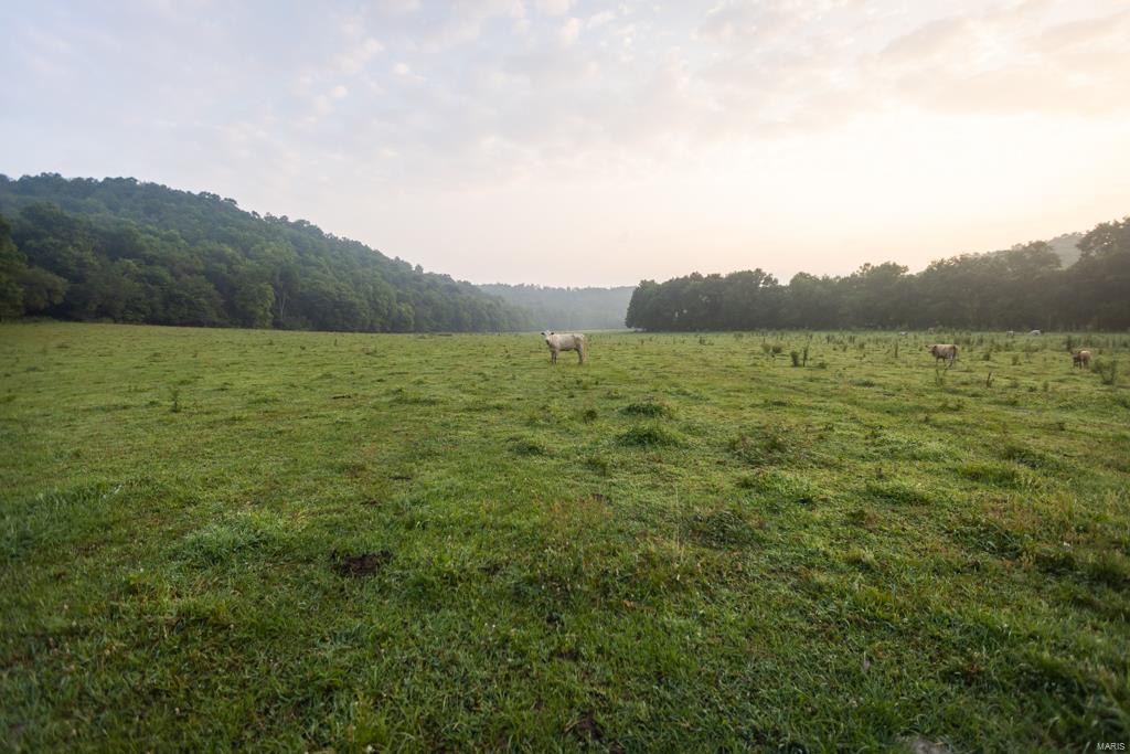 NA - Farm
