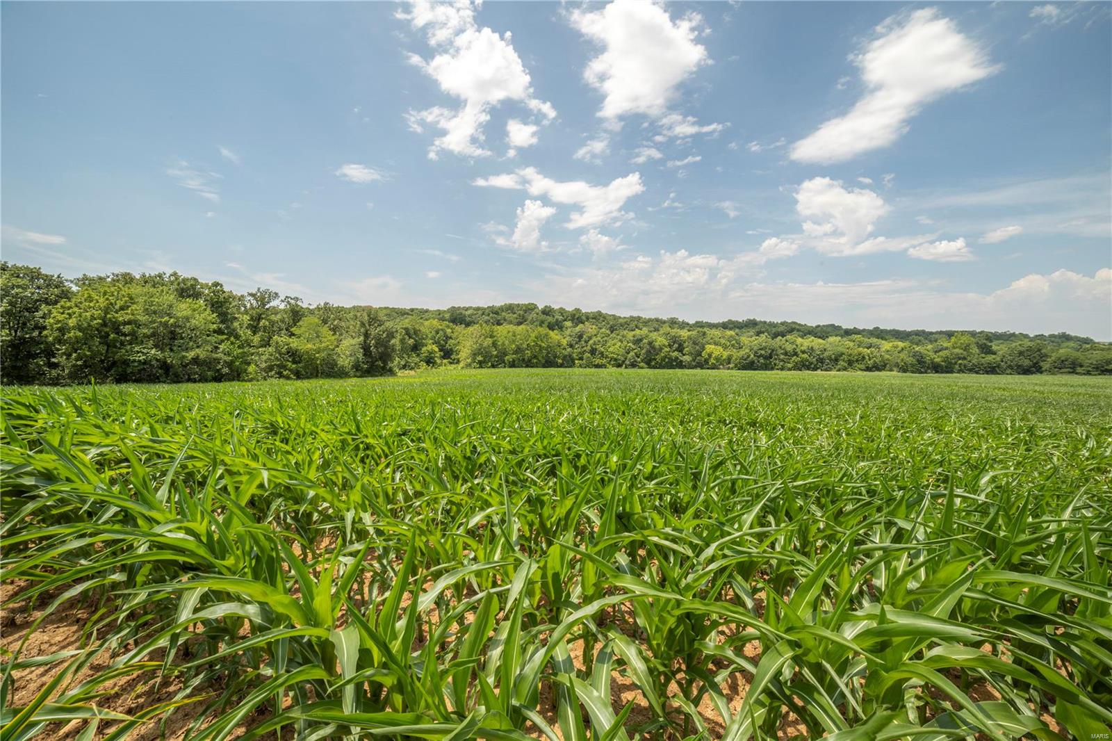 N/A - Farm