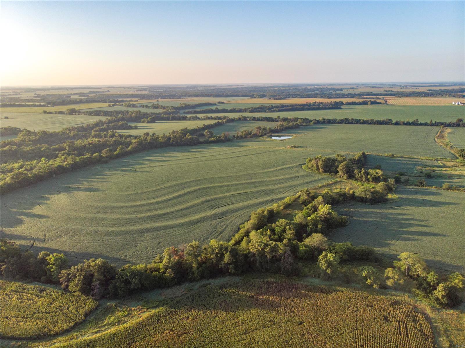 The Schutte Farm presents a fantastic opportunity for individuals seeking to establish or expand a tillable farm in Monroe County, Missouri. The property comprises two tracts, one spanning 84 +/- acres and the other 154 +/- acres (subject to survey) The Farm will be presented as an online-timed auction with bidding ending on October 25th at 5PM CST.

With direct access from Monroe Road 689, both tracts are easily accessible, allowing for seamless farming operations. This accessibility simplifies logistics for efficient transportation of crops and equipment. The Schutte Farm opportunities for expansion and its strategic location makes it an appealing investment. With the ability to start from scratch or add acreage to an existing operation, this property offers the potential for a prosperous and fulfilling farming revenue.

Tract 2 - 154 +/- acres with approximately 120 acres tillable on the southern side of the property consisting mostly of Mexico and Putnam silt loams.