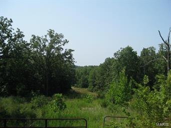 Great building lot with privacy. This property is part of a larger tract that will be surveyed out. Wooded and some cleared land.  Limited restrictions to be negotiated with the Buyer.