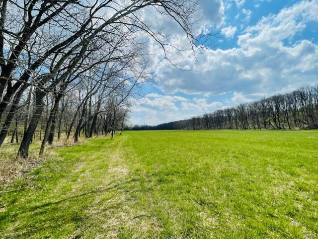 - - Farm