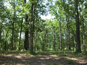 Pinckney Hills - Farm