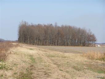 ATTENTION DUCK HUNTERS!!! This would be a great spot. Property attaches to Main Ditch.