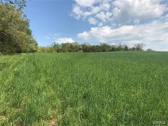 Approximately 65 acres that can be divided into many possibilities from residential development, farming, livestock, horses and/or private dream home, the possibilities are endless. Currently income producing land. Unique land as it offers rolling hills, level areas, and woods. Country life less than 30 minutes from St. Louis.  This prime real estate will not last.  Call today for a tour.  PLEASE DO NOT WALK PROPERTY WITHOUT AGENT.  This listing has four tax ID's. covering both Jefferson County and Franklin County. Call Agent for details.