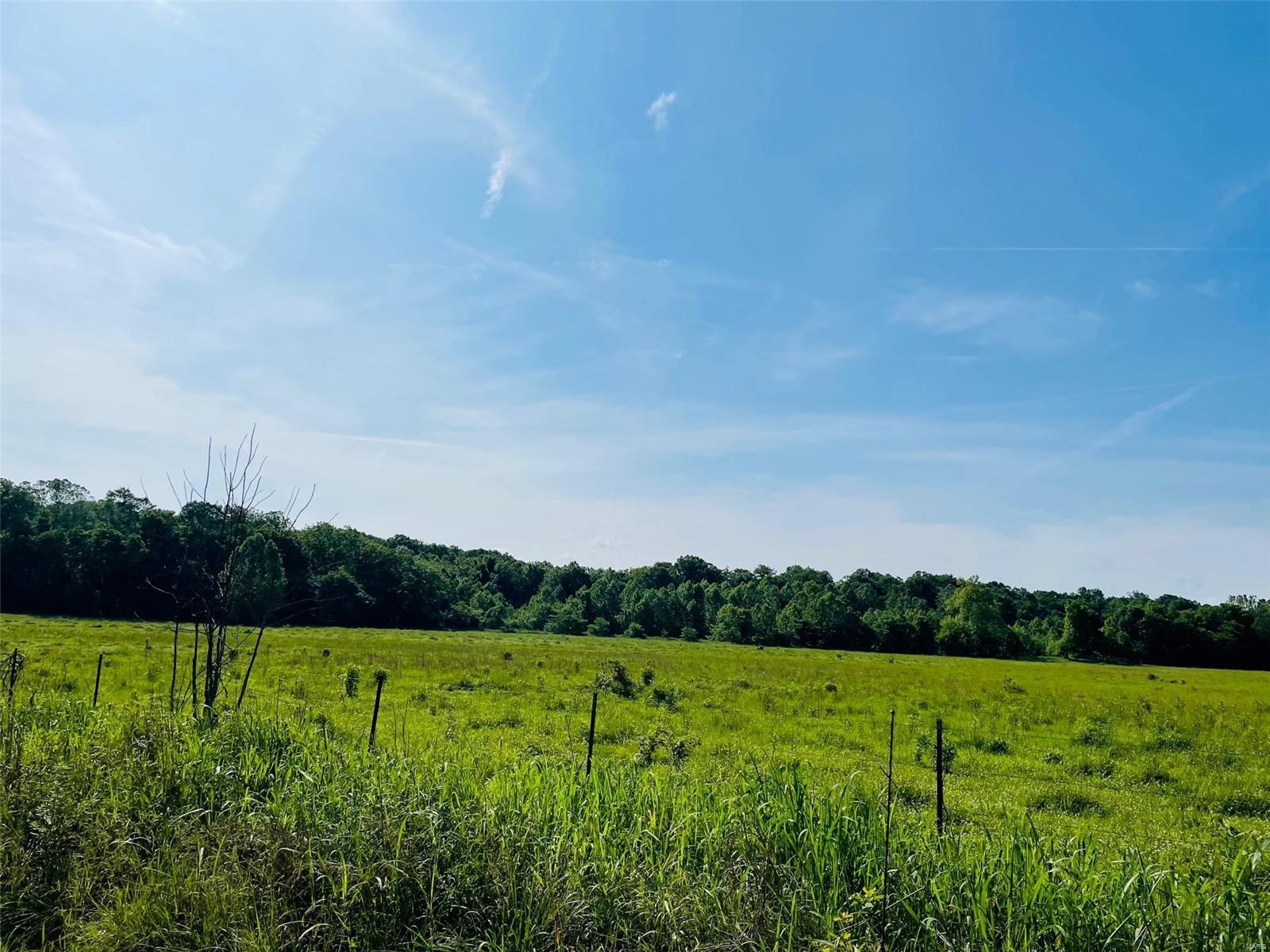 Rural - Farm