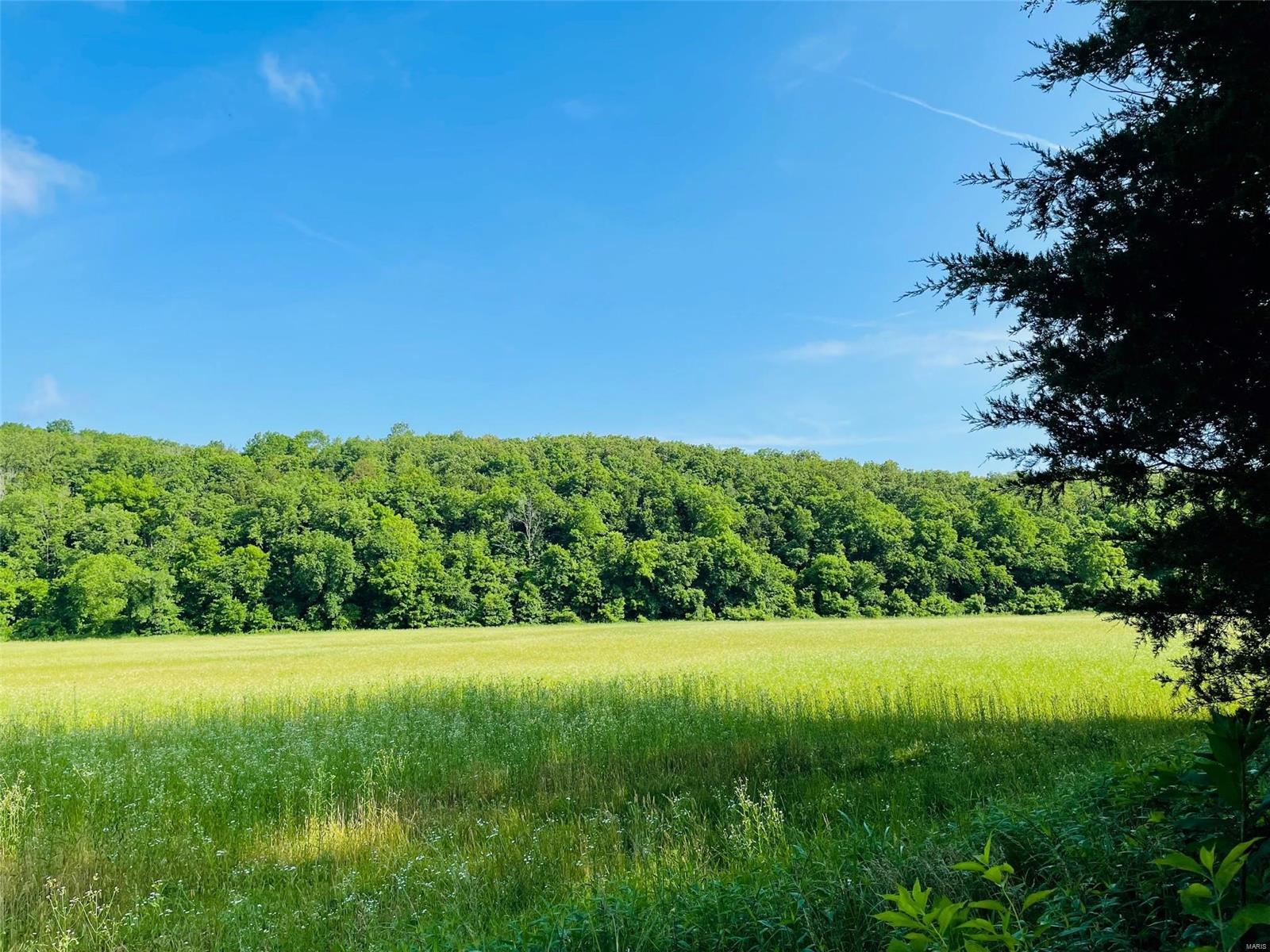 Rural - Farm
