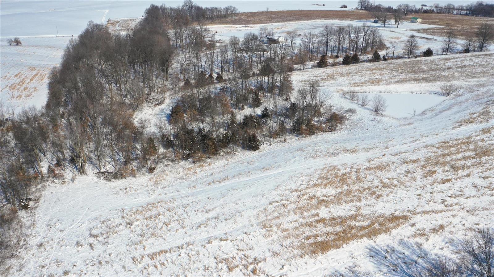 no - Farm