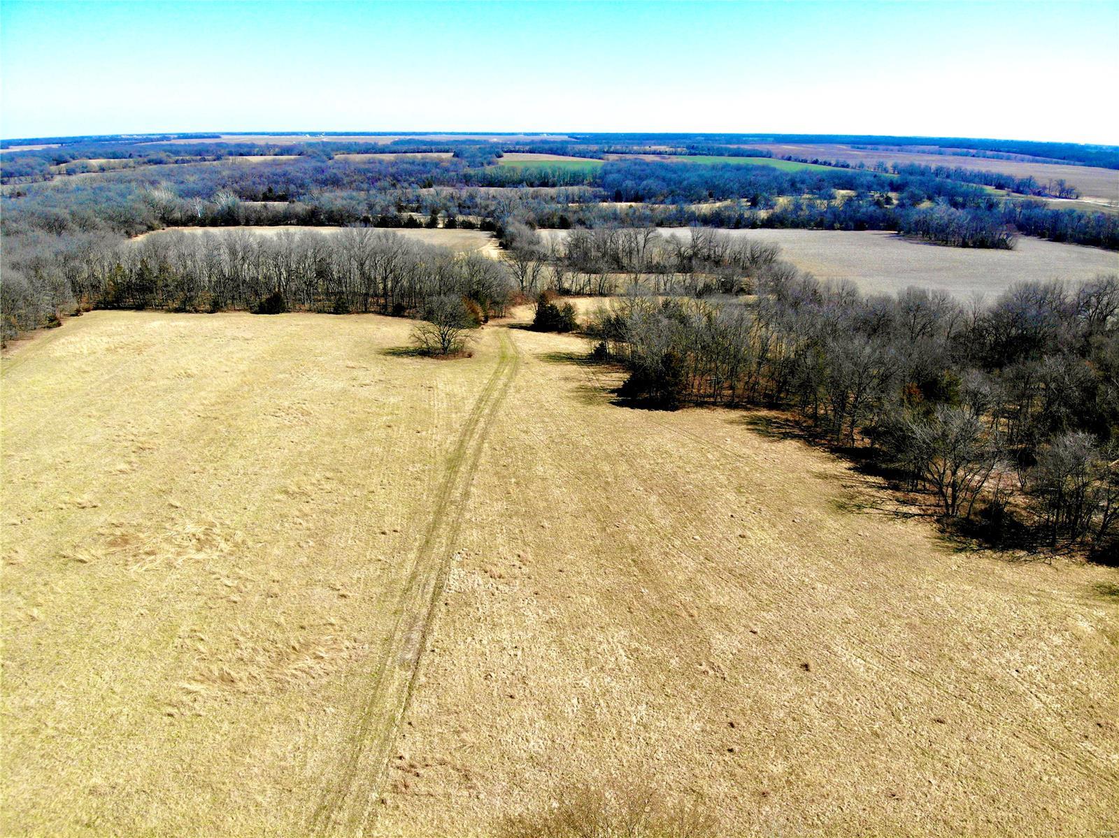 Perry - Farm
