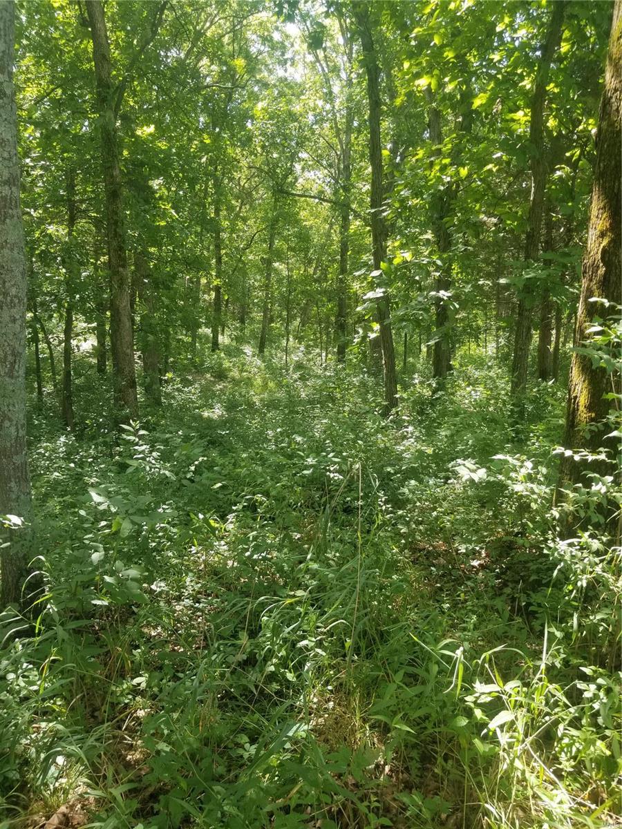 SANCTUARY - Land