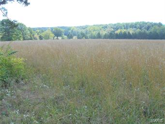- - Farm