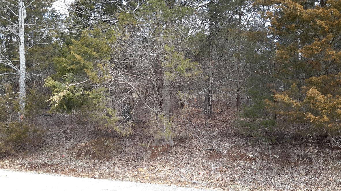 Wait till You see the vast lake view from the tip of Jerry's Point overlooking the main body of the largest 127 acre skiing lake in Raintree! Large, premium 1st Tier WATER-VIEW residential building lot #39. BUILDING PERMITS & HIGH SPEED INTERNET AVAILABLE! Possibly own the entire lake view tip of the point (Sec 4 Lots 39-43) adjoining lots on Jerry's Point listed separate. Just a 25 minutes down NEW Hwy 21 from I-270 in the greater St Louis area, RAINTREE is a gated golf/lakes community with aprox. 700 homes. There are 4 super-clean, stocked & managed lakes, intertwined among Raintree Golf Club's 18 hole course. Large swimming pool & fitness center for Club members. There's an Association with fun activities!   There's a pavilion and camping facilities. Excellent fishing. Builders favor Raintree because of the infrastructure and amenities. Live where you play! Water all around. Don't miss this rare possibility for a very special home-site. Additional Rooms: In Platted Subdv.