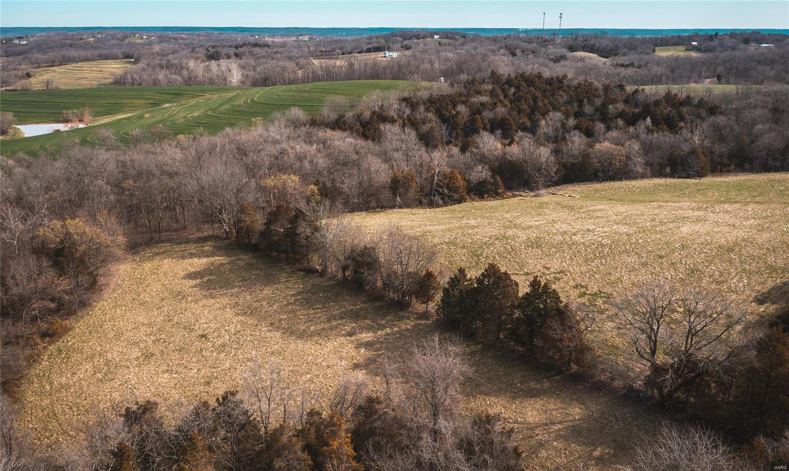 Owls Nest - Farm