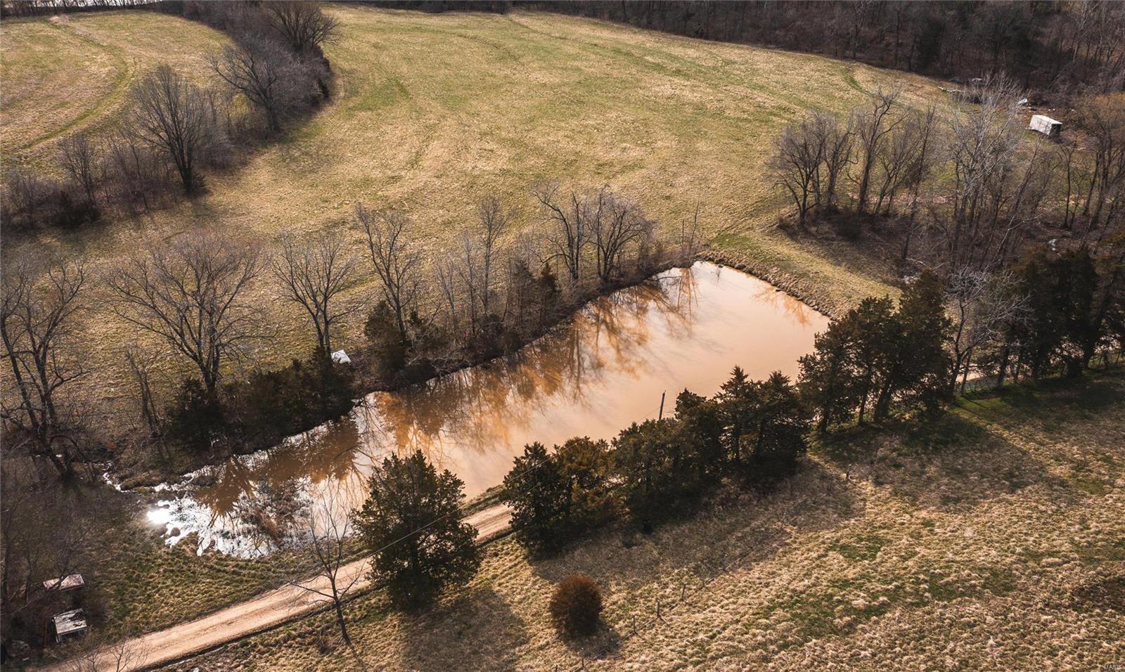 Owls Nest - Farm