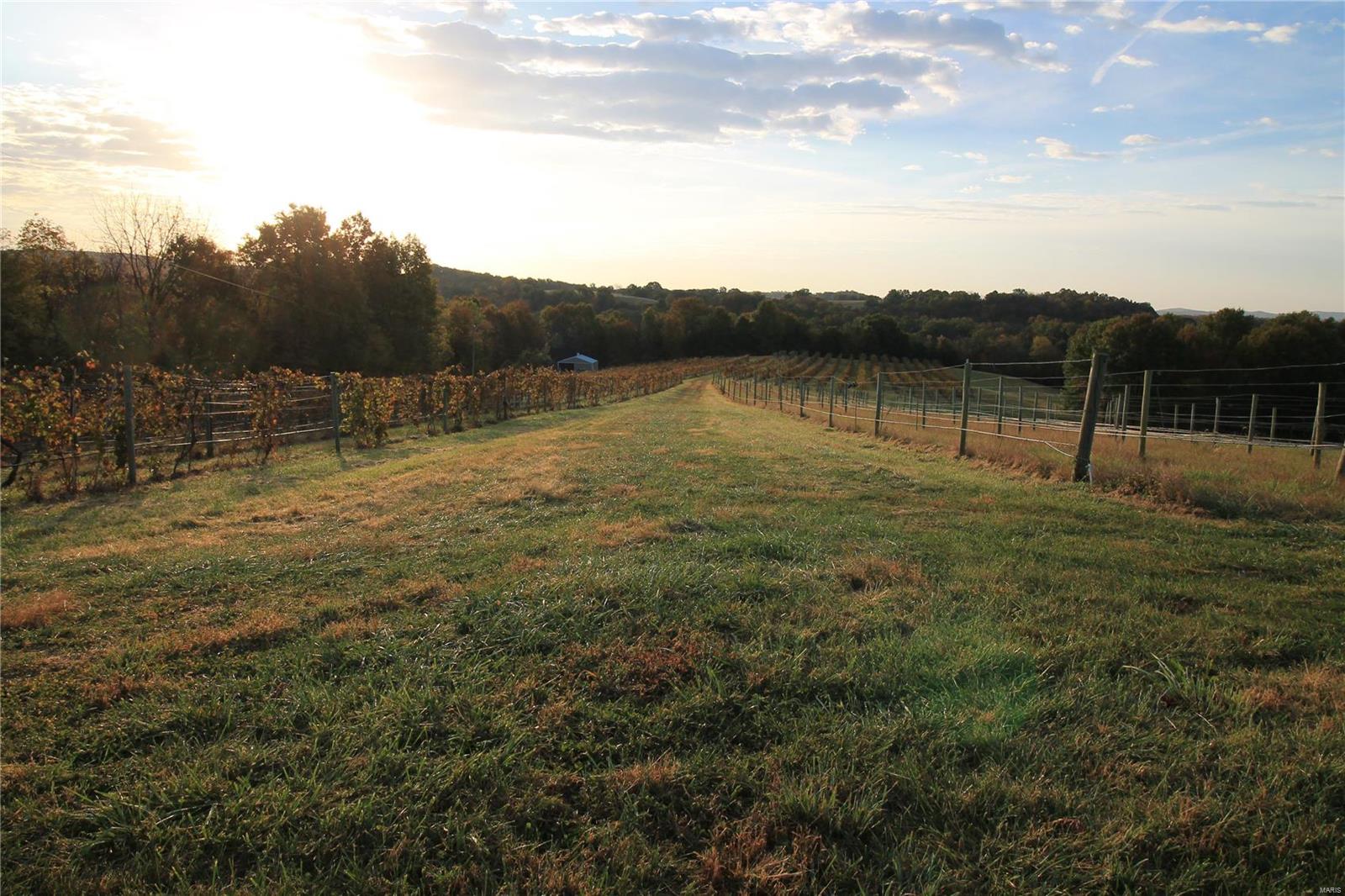 N/A - Farm