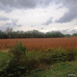None - Farm