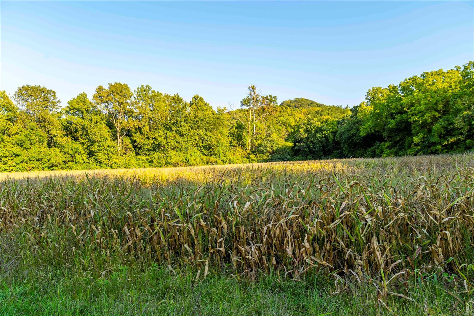 N/A - Farm