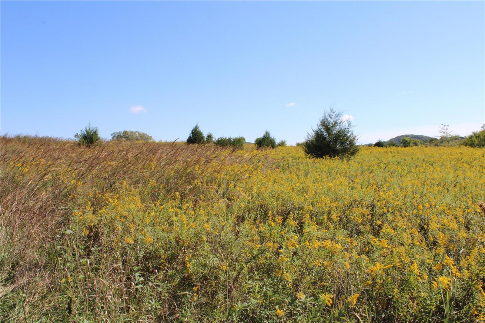 Lot 5 and Lot 6 of Fairfield Estates combined to make 10 acres. Gently rolling lot that has privacy but it still close to a blacktop road, Hwy D. Some horses/cattle allowed. Building size restrictions 1 story minimum is 1500 sq ft and min/2-story is 2200 sq ft. Public water service, septic sewer (you will have to put in). Additional Rooms: In Platted Subdv.