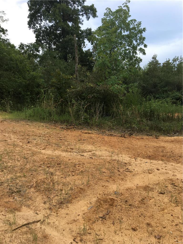 Property consists of 6 lots up front and a larger parcel of approximately 6 acres.  The larger parcel would make a great place to build and offers privacy.  The additional lots could be sold off or used for building spec homes.  Or keep all of it for added privacy.  Property could be entered right off Highway B or through the back of Shakertown.  All utilities are available. Only 1.5 miles from city limits!