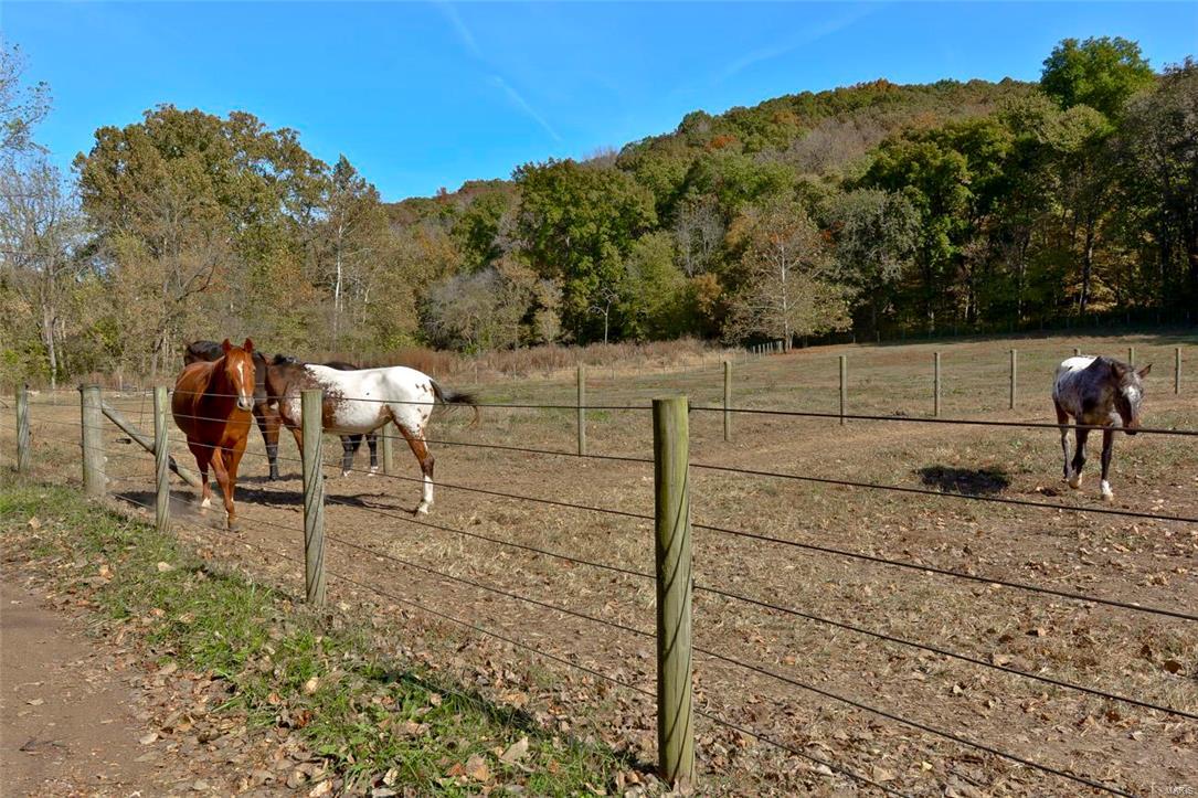Brooks Farm - Farm