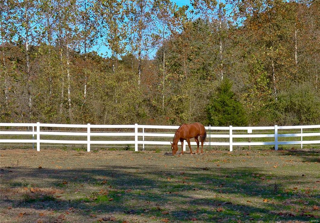 Brooks Farm - Farm