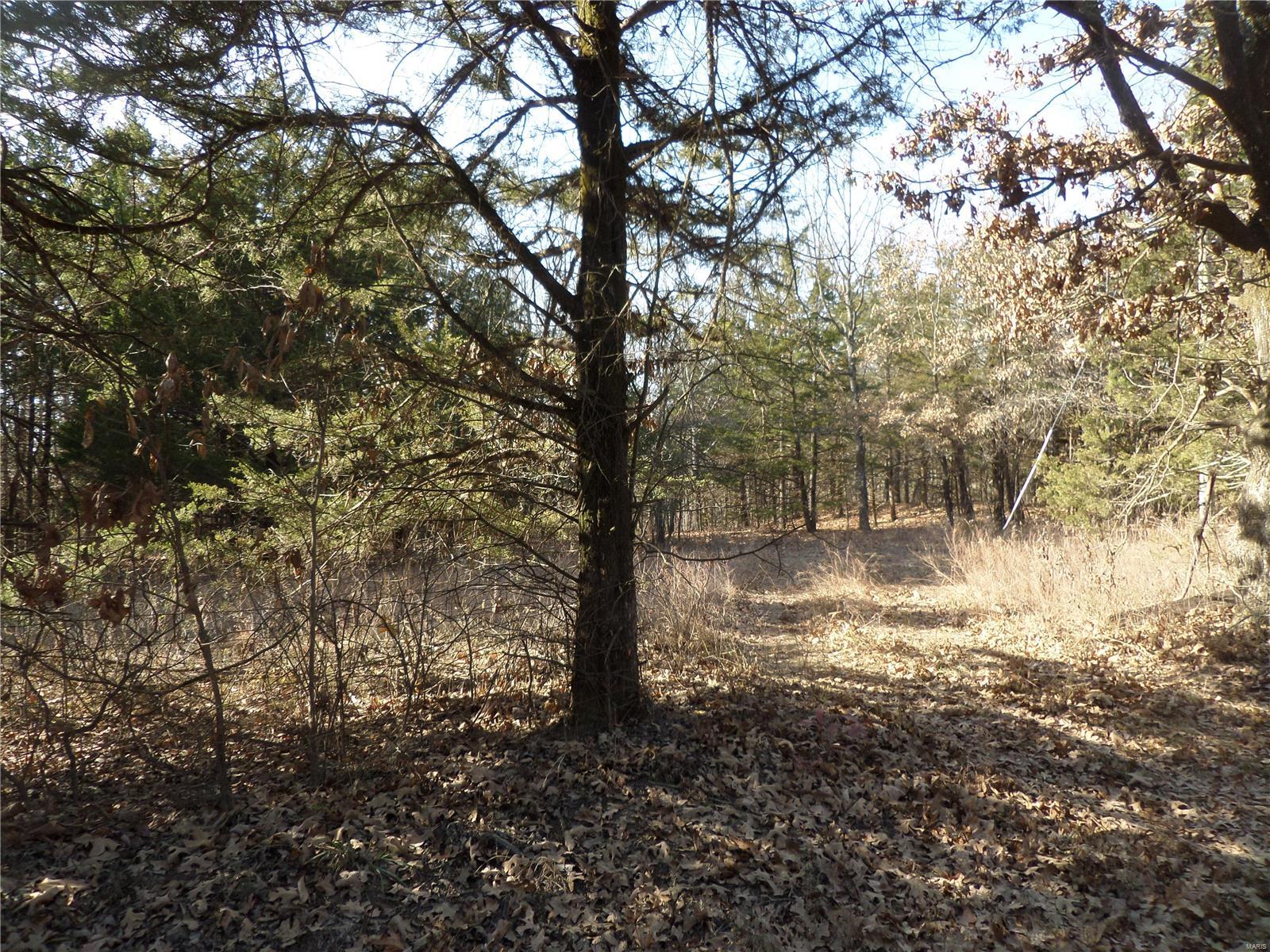 8.94 acres to build on or use for recreation or hunting