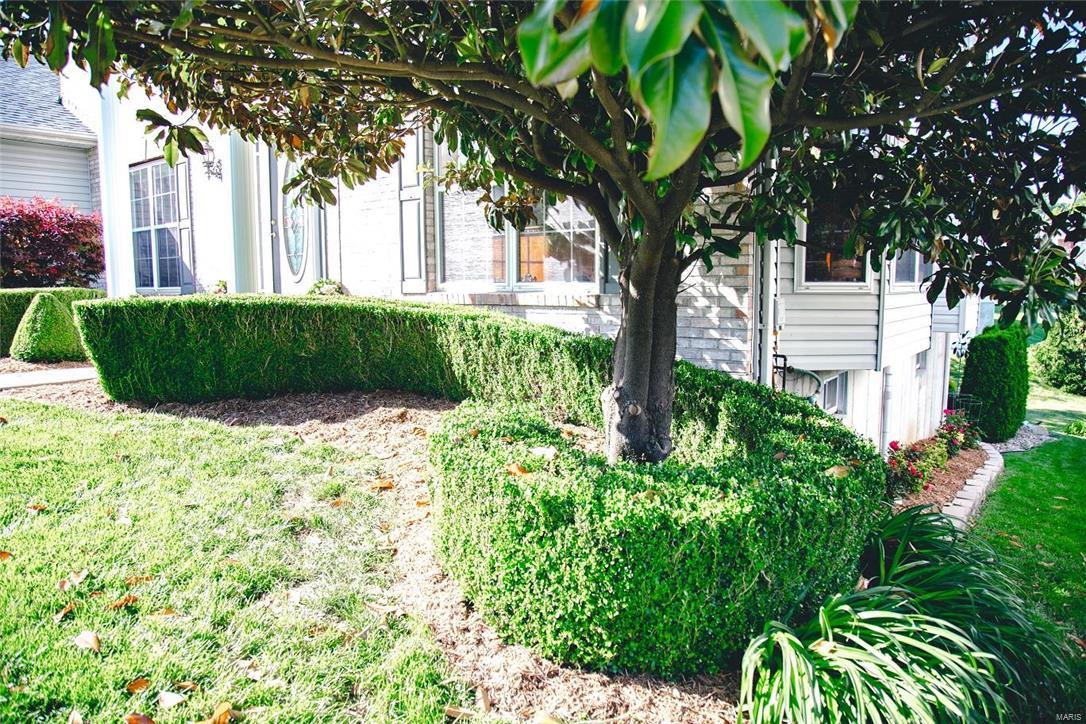 Chestnut Farms - Residential