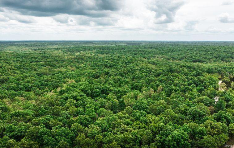This is a very desirable property with highway road frontage, located just a short distance out of town. This property is heavily wooded and surrounded by open pastureland making for excellent cover for the wildlife, you will find unbelievable hunting for both deer and turkey with 31 acres seeded in food plots with ponds scattered throughout the property along with a good food source there is no reason for the game to leave. If you are looking for a homestead there is a good mixture of mature timber and open ground for cattle or horses. Less than 20 miles off Interstate 44 and about halfway between St. Louis and Springfield. The area has lots of Mark Twain National Forest, Big Piney River Known for its Floating and small mouth bass fishing, as well as several Blue-Ribbon Trout Streams and Trout Parks. If you are looking for the perfect piece of Ozark Land, come take a look at this one.