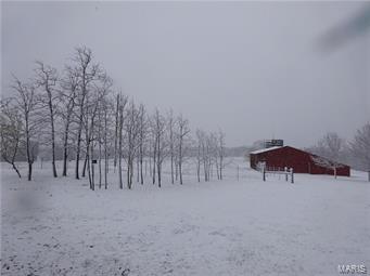 None - Farm