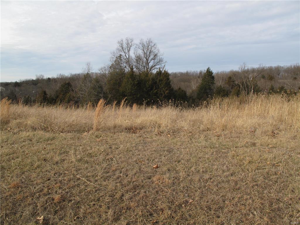 Located jus minutes from shopping, schools, churches, hospital and restaurants, and in the Festus R-7 School District. Sought after subdivision. 4 acres of beautiful untouched wooded land. Bring your builder, your plans. Trestrictd subdivision. Min. square footage is 2000 sq ft. Build your dream home here!