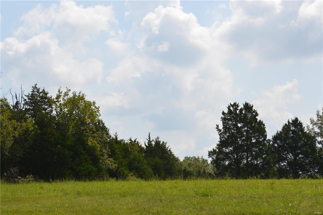 Gorgeous 10 acre lot perfect for your dream home. Bring your builder - bring your plan! Additional acreage available for purchase. Quiet and private setting! Beautiful acreage! Hillsboro School District!