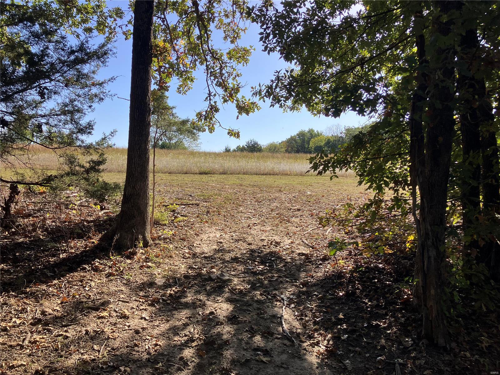 TRACT B...10.49 ACRES SPLIT OFF OF ORIGINAL 20.77 ACRE TRACT. EXCEPTIONAL TRACT OF LAND TO BUILD YOUR FOREVER HOME. PROPERTY HAS A GOOD BALANCE OF WOODS AND CLEARED PROPERTY.  ONLY RESTRICTION IS 200' SET BACK ON WEST PROPERTY LINE. PROPERTY TO BE ISSUED A NEW TAX ID PRIOR TO CLOSING